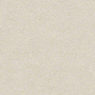 Find Your Comfort Ns I Residential Carpet