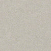Find Your Comfort Ns I Residential Carpet