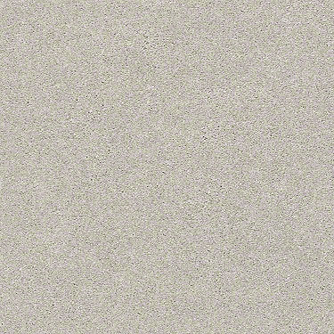 Find Your Comfort Ns I Residential Carpet