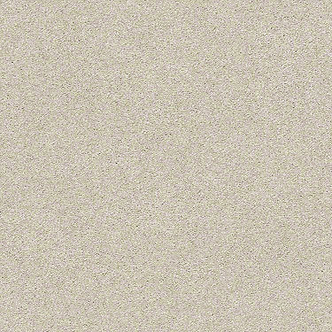 Find Your Comfort Ns I Residential Carpet