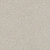 Find Your Comfort Ns I Residential Carpet