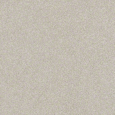 Find Your Comfort Ns I Residential Carpet