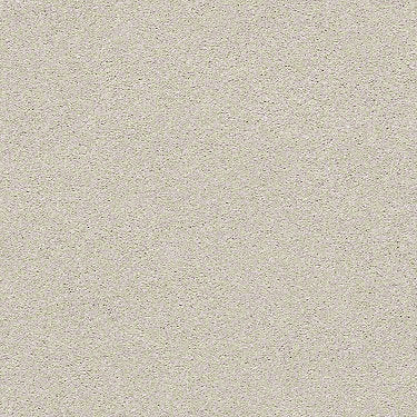 Find Your Comfort Ns I Residential Carpet