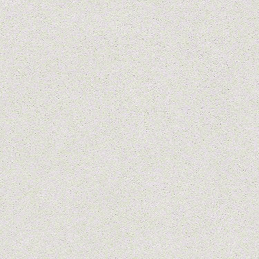 Find Your Comfort Ns I Residential Carpet