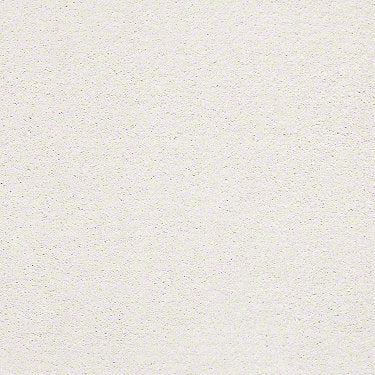 Find Your Comfort Ns I Residential Carpet