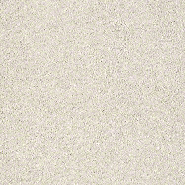 Find Your Comfort Ns I Residential Carpet