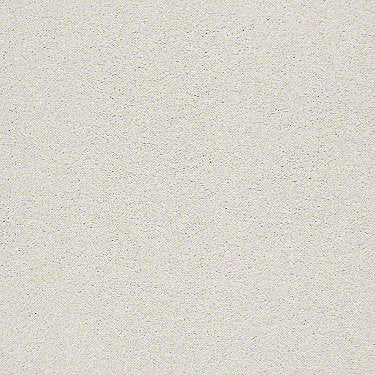 Find Your Comfort Ns I Residential Carpet