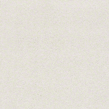 Find Your Comfort Ns I Residential Carpet