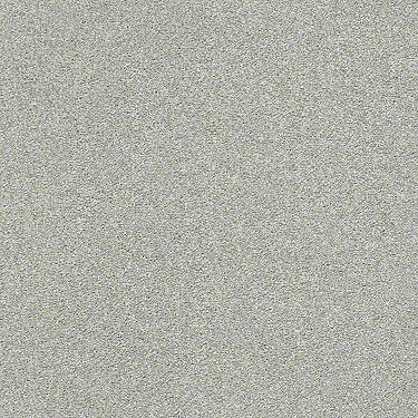 Find Your Comfort Ns I Residential Carpet