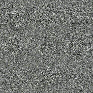 Find Your Comfort Ns I Residential Carpet