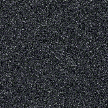 Find Your Comfort Ns I Residential Carpet