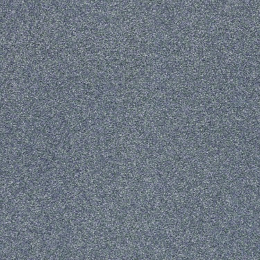 Find Your Comfort Ns I Residential Carpet