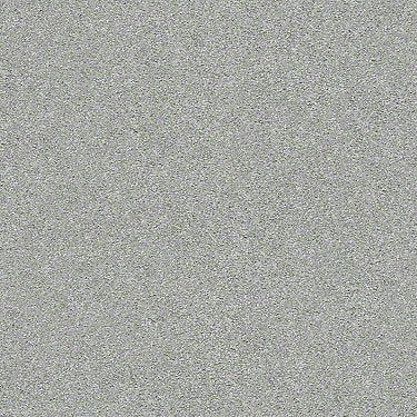 Find Your Comfort Ns I Residential Carpet