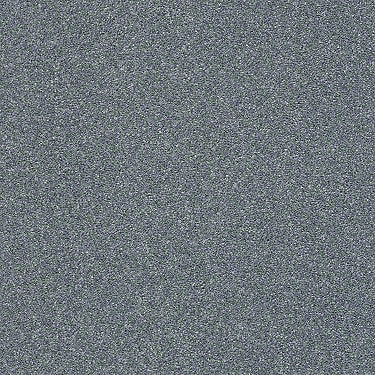 Find Your Comfort Ns I Residential Carpet