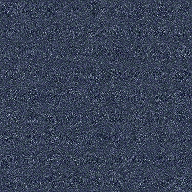 Find Your Comfort Ns I Residential Carpet