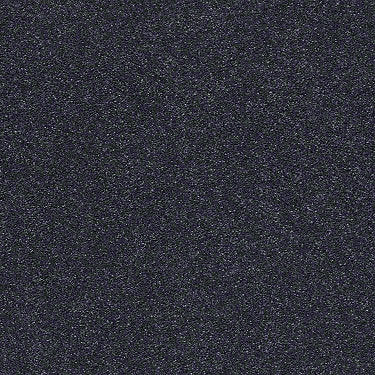 Find Your Comfort Ns I Residential Carpet