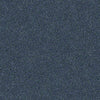 Find Your Comfort Ns I Residential Carpet