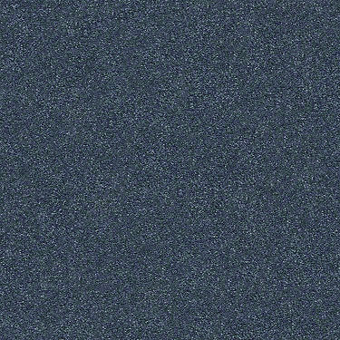 Find Your Comfort Ns I Residential Carpet