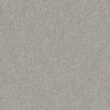 Find Your Comfort Ns I Residential Carpet