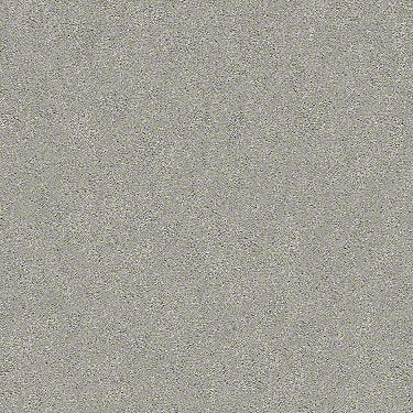 Find Your Comfort Ns I Residential Carpet