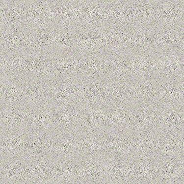 Find Your Comfort Ns I Residential Carpet