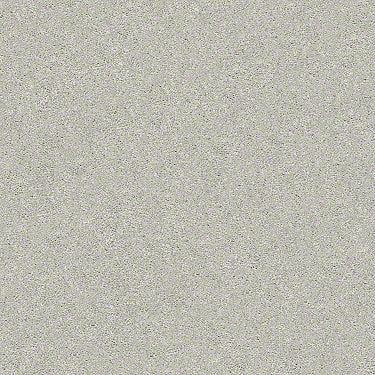 Find Your Comfort Ns I Residential Carpet