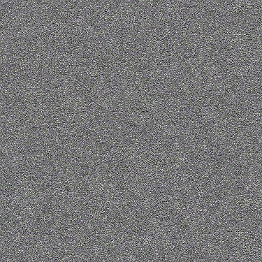 Find Your Comfort Ns I Residential Carpet