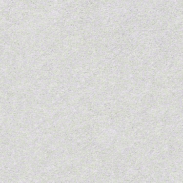 Find Your Comfort Ns I Residential Carpet