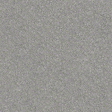 Find Your Comfort Ns I Residential Carpet