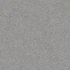Find Your Comfort Ns I Residential Carpet