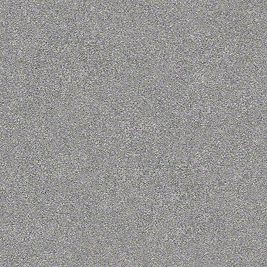 Find Your Comfort Ns I Residential Carpet
