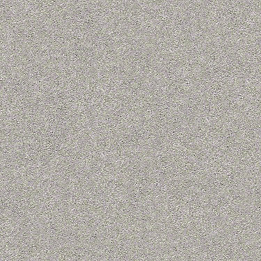 Find Your Comfort Ns I Residential Carpet