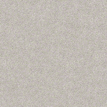 Find Your Comfort Ns I Residential Carpet