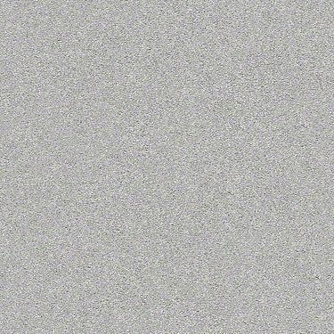 Find Your Comfort Ns I Residential Carpet