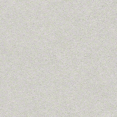 Find Your Comfort Ns I Residential Carpet