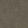 Find Your Comfort Ns I Residential Carpet