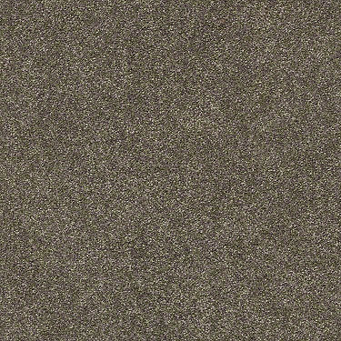 Find Your Comfort Ns I Residential Carpet