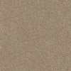Find Your Comfort Ns I Residential Carpet
