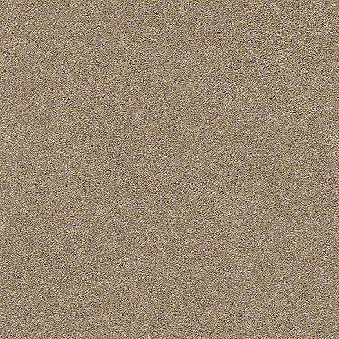 Find Your Comfort Ns I Residential Carpet