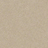 Find Your Comfort Ns I Residential Carpet