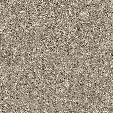 Find Your Comfort Ns I Residential Carpet