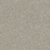 Find Your Comfort Ns I Residential Carpet
