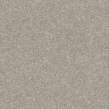 Find Your Comfort Ns I Residential Carpet