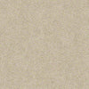 Find Your Comfort Ns I Residential Carpet
