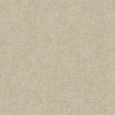 Find Your Comfort Ns I Residential Carpet
