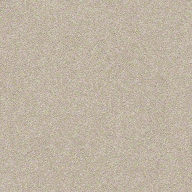 Find Your Comfort Ns I Residential Carpet