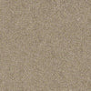 Find Your Comfort Ns I Residential Carpet