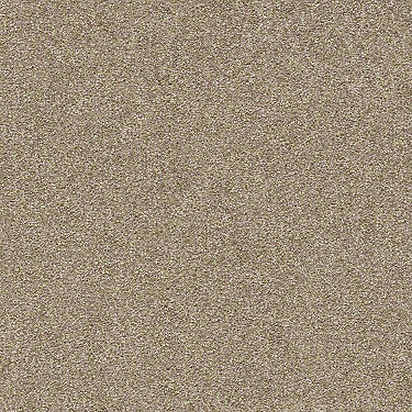 Find Your Comfort Ns I Residential Carpet