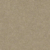 Find Your Comfort Ns I Residential Carpet