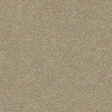 Find Your Comfort Ns I Residential Carpet